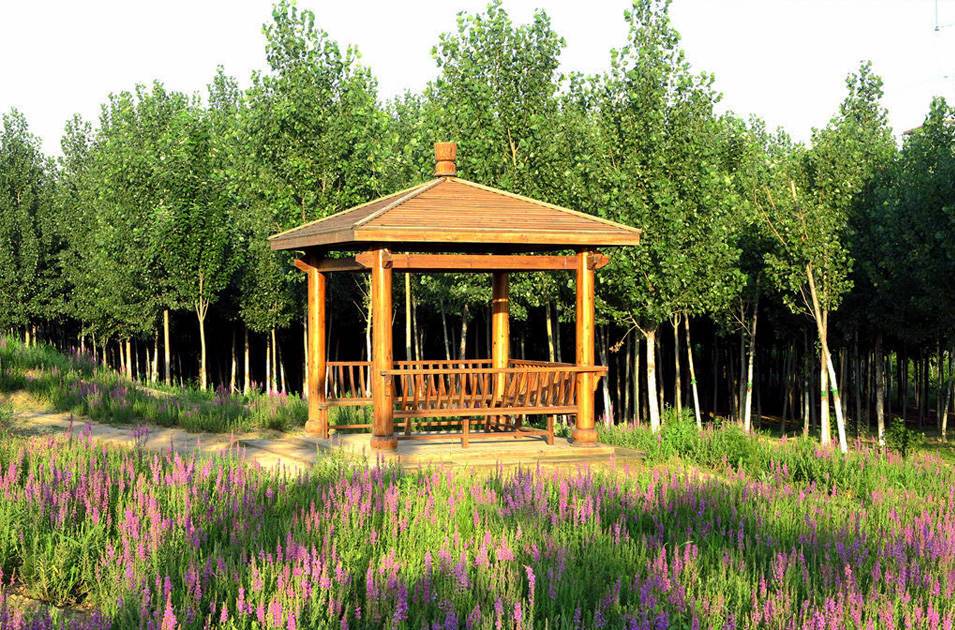 北辰郊野公园绿化养护